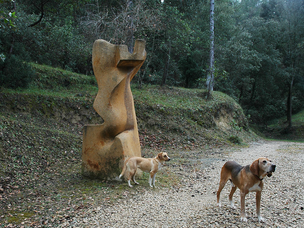 Sobreeixidor de la forma [4]