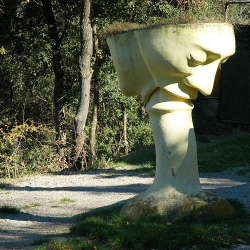 Calze felatori