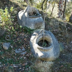Cares bessones [1]