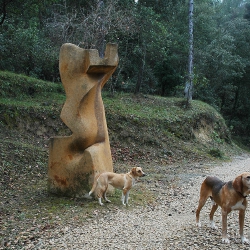 Sobreeixidor de la forma [4]