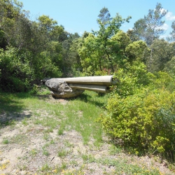 Abans del big bang [2]