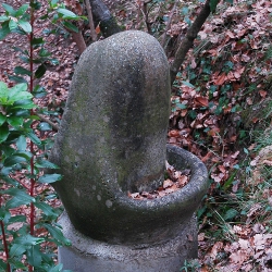 Brollador [1]