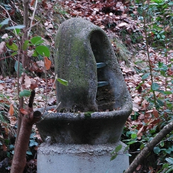 Brollador