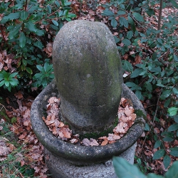 Brollador [3]