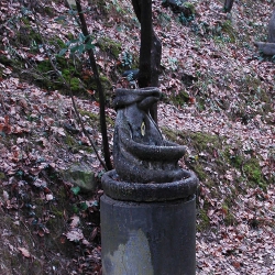 Giragonsa