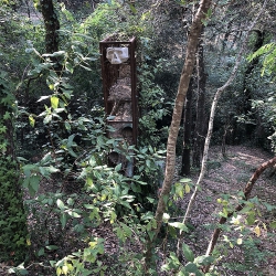 Banc d'herba