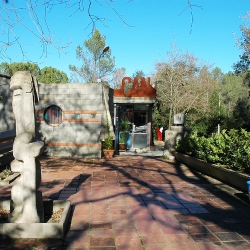 Restaurant [6]
