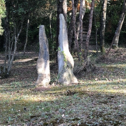 Termes