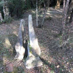 Termes [4]