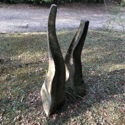 Termes
